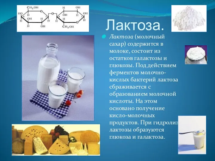 Лактоза. Лактоза (молочный сахар) содержится в молоке, состоит из остатков