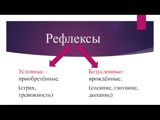 Рефлексы Условные – приобретённые. (страх, тревожность) Безусловные- врождённые. (сосание, глотание, дыхание)