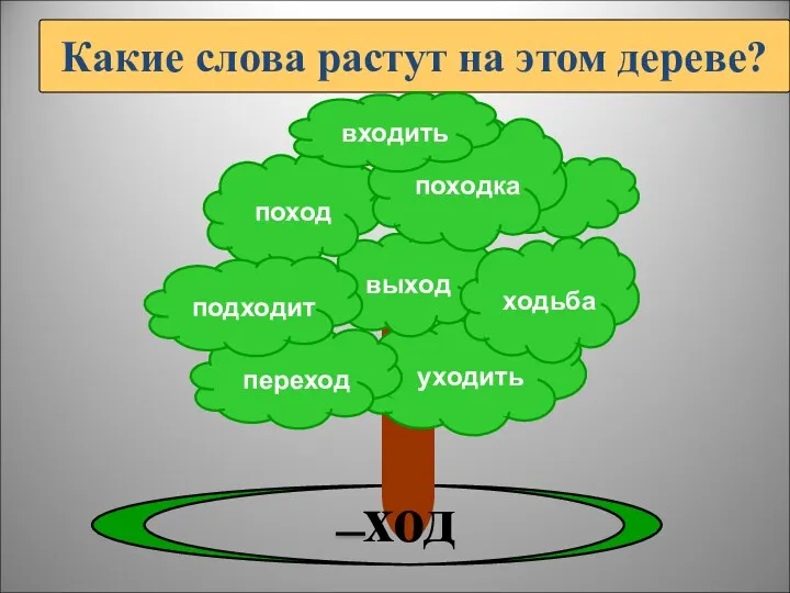 Какие слова растут на этом дереве? уходить переход выход ходьба поход подходит походка входить ход