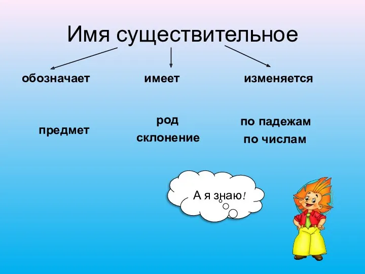 Имя существительное обозначает имеет изменяется предмет род склонение по падежам по числам А я знаю!