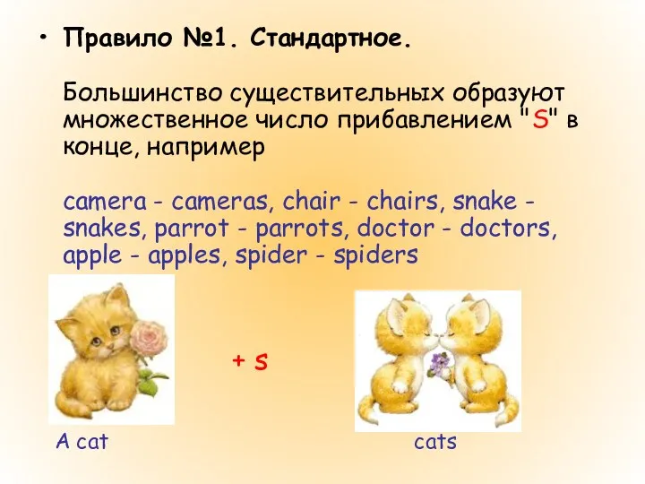 Правило №1. Стандартное. Большинство существительных образуют множественное число прибавлением "S"