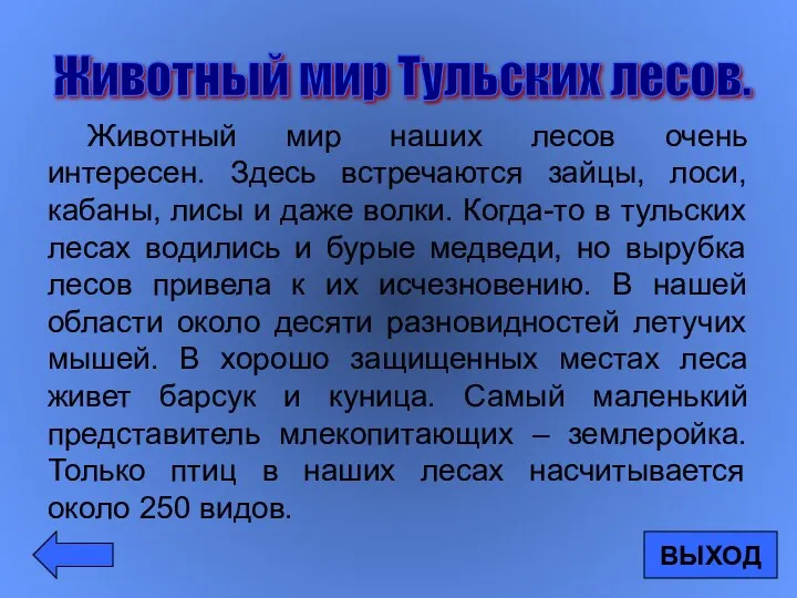 Животный мир наших лесов очень интересен. Здесь встречаются зайцы, лоси,