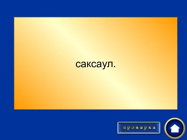 растение пустыни с недоразвитыми листьями саксаул.