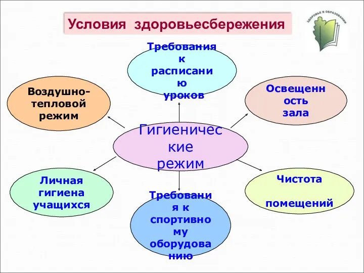 Гигиенические режим Требования к спортивному оборудованию Освещенность зала Требования к