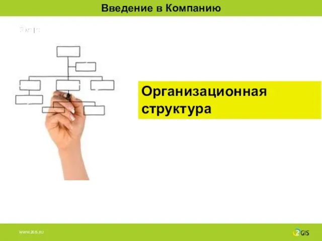 Организационная структура Введение в Компанию
