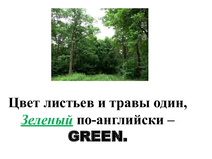 Цвет листьев и травы один, Зеленый по-английски – GREEN.