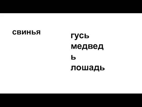 свинья гусь медведь лошадь