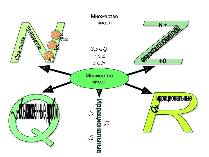 Множество чисел Множество чисел N Z R Q предметов При