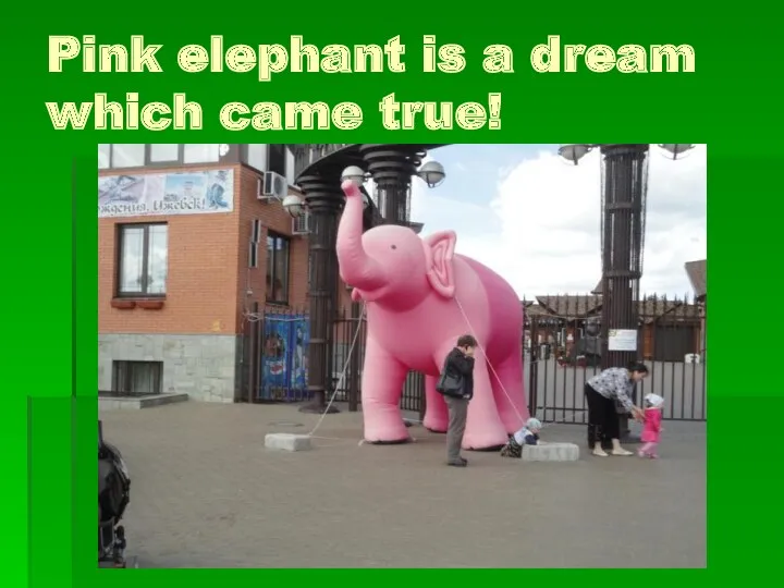 Pink elephant is a dream which came true!