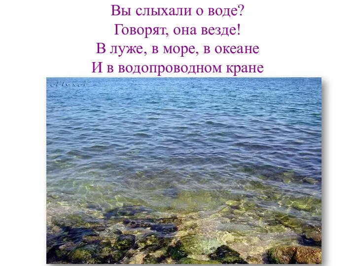 Вы слыхали о воде? Говорят, она везде! В луже, в море, в океане