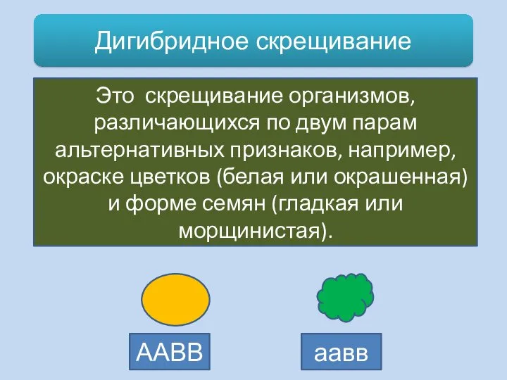 Это скрещивание организмов, различающихся по двум парам альтернативных признаков, например,