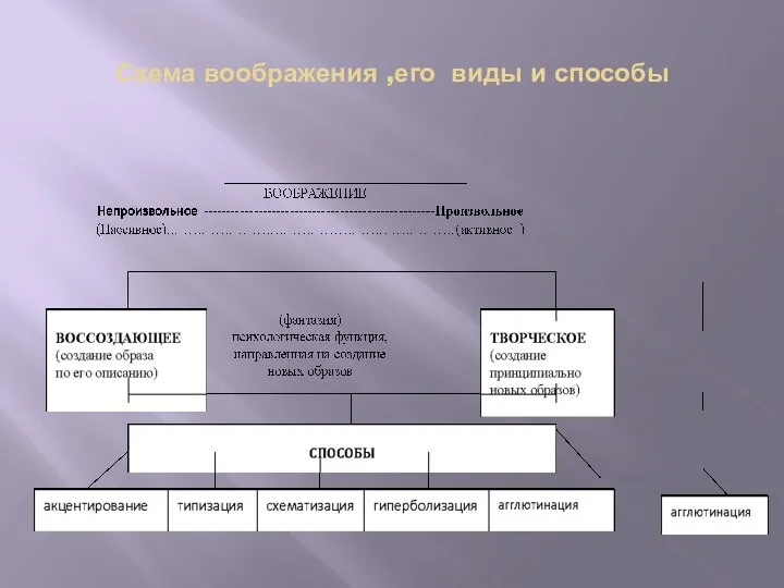 Схема воображения ,его виды и способы