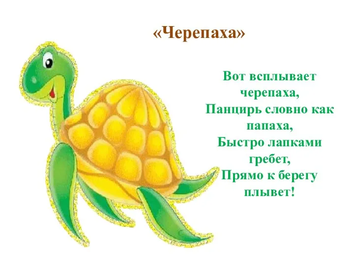 Вот всплывает черепаха, Панцирь словно как папаха, Быстро лапками гребет, Прямо к берегу плывет! «Черепаха»