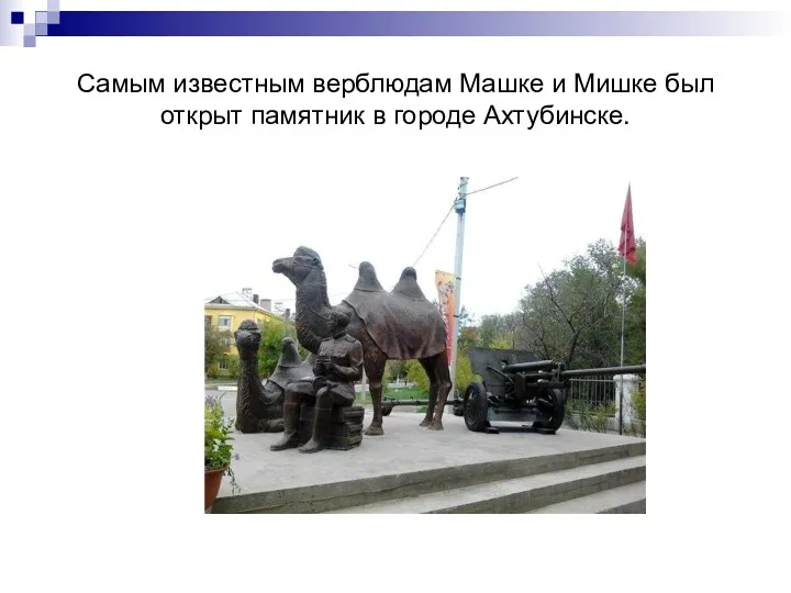 Самым известным верблюдам Машке и Мишке был открыт памятник в городе Ахтубинске.