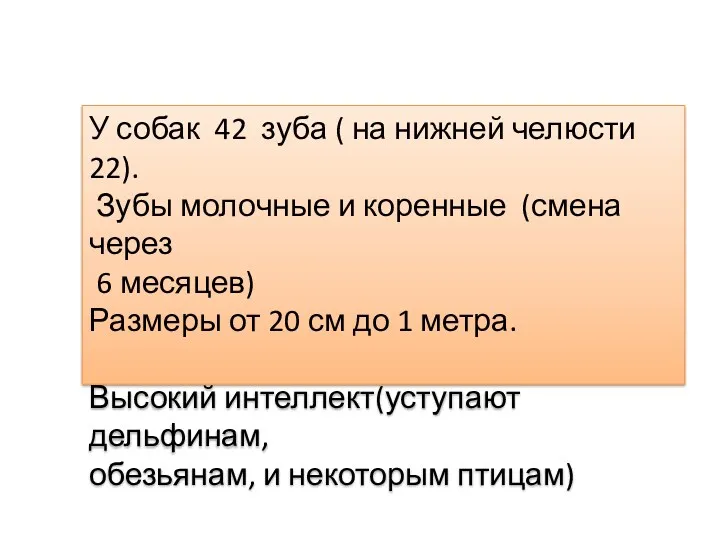 У собак 42 зуба ( на нижней челюсти 22). Зубы