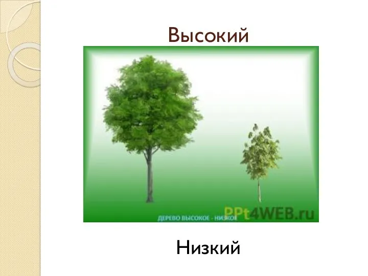 Высокий Низкий