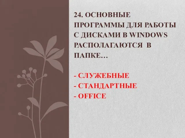 24. ОСНОВНЫЕ ПРОГРАММЫ ДЛЯ РАБОТЫ С ДИСКАМИ В WINDOWS РАСПОЛАГАЮТСЯ