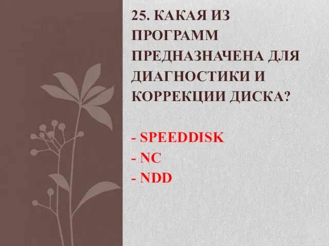 25. КАКАЯ ИЗ ПРОГРАММ ПРЕДНАЗНАЧЕНА ДЛЯ ДИАГНОСТИКИ И КОРРЕКЦИИ ДИСКА? - SPEEDDISK - NC - NDD