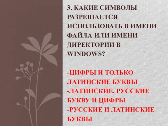 3. КАКИЕ СИМВОЛЫ РАЗРЕШАЕТСЯ ИСПОЛЬЗОВАТЬ В ИМЕНИ ФАЙЛА ИЛИ ИМЕНИ