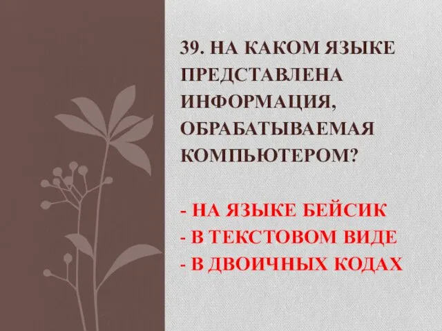 39. НА КАКОМ ЯЗЫКЕ ПРЕДСТАВЛЕНА ИНФОРМАЦИЯ, ОБРАБАТЫВАЕМАЯ КОМПЬЮТЕРОМ? - НА