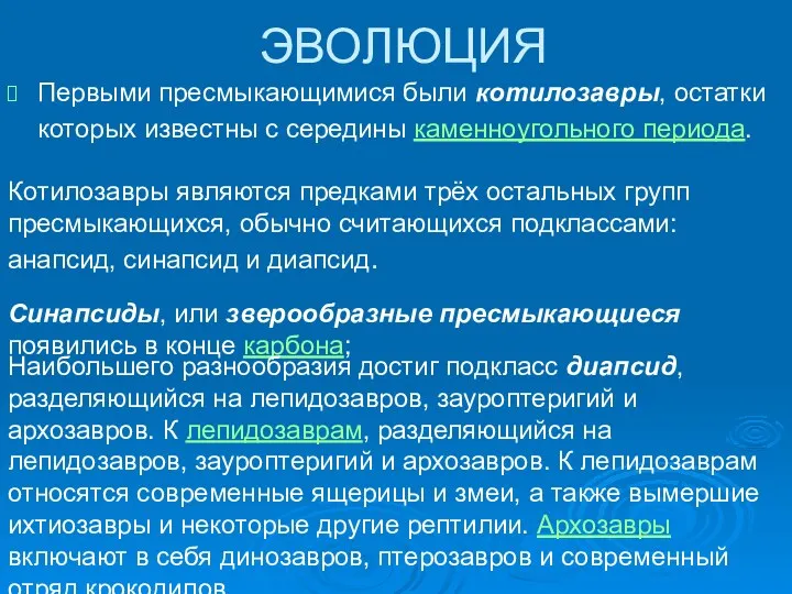 ЭВОЛЮЦИЯ Первыми пресмыкающимися были котилозавры, остатки которых известны с середины каменноугольного периода. Котилозавры