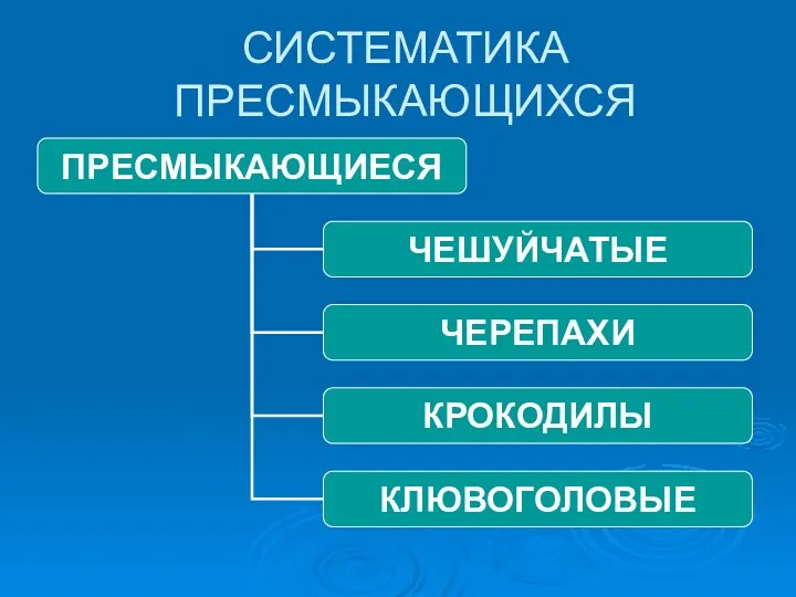 СИСТЕМАТИКА ПРЕСМЫКАЮЩИХСЯ