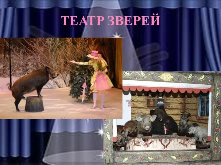 ТЕАТР ЗВЕРЕЙ