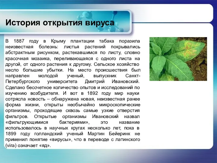 История открытия вируса В 1887 году в Крыму плантации табака