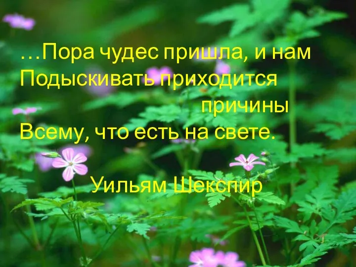 …Пора чудес пришла, и нам Подыскивать приходится причины Всему, что есть на свете. Уильям Шекспир