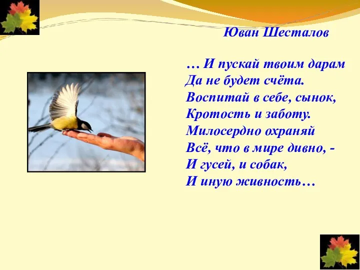 Юван Шесталов … И пускай твоим дарам Да не будет