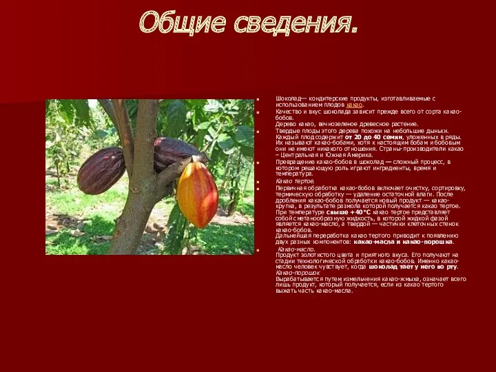 Общие сведения. Шоколад— кондитерские продукты, изготавливаемые с использованием плодов какао.