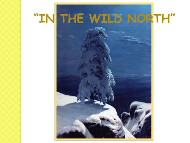 “IN THE WILD NORTH”