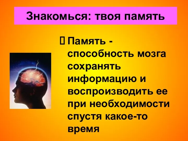 Знакомься: твоя память Память - способность мозга сохранять информацию и