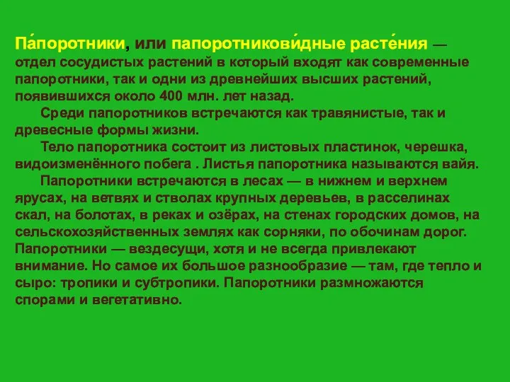 Па́поротники, или папоротникови́дные расте́ния — отдел сосудистых растений в который