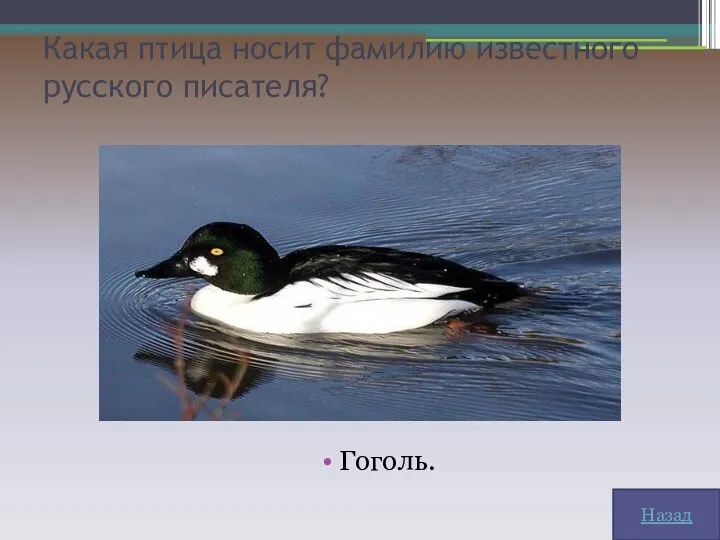 Какая птица носит фамилию известного русского писателя? Гоголь. Назад