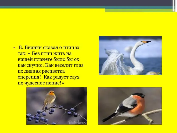 В. Бианки сказал о птицах так: « Без птиц жить