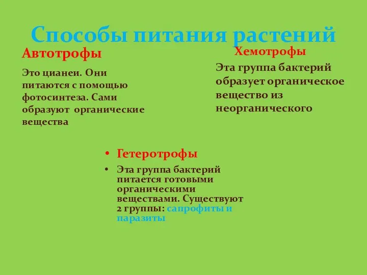 Способы питания растений Автотрофы Это цианеи. Они питаются с помощью