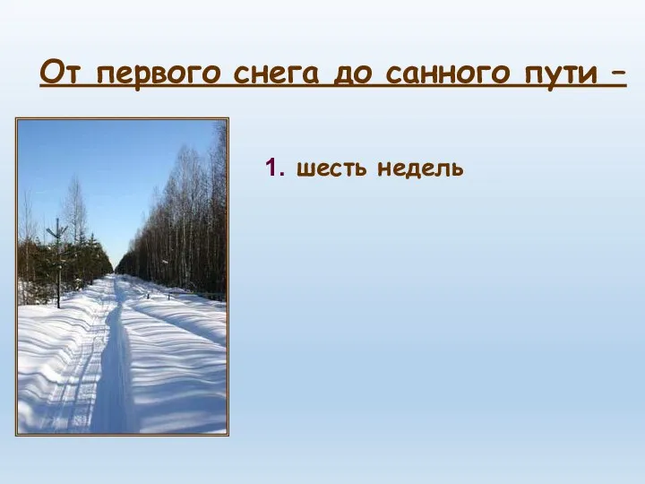 шесть недель От первого снега до санного пути –