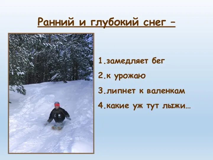 Ранний и глубокий снег – 1.замедляет бег 2.к урожаю 3.липнет к валенкам 4.какие уж тут лыжи…