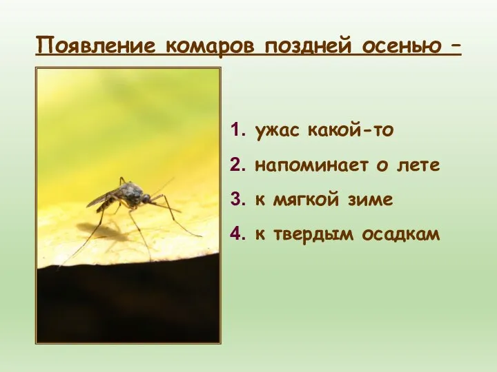 ужас какой-то напоминает о лете к мягкой зиме к твердым осадкам Появление комаров поздней осенью –