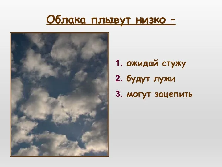 Облака плывут низко – ожидай стужу будут лужи могут зацепить