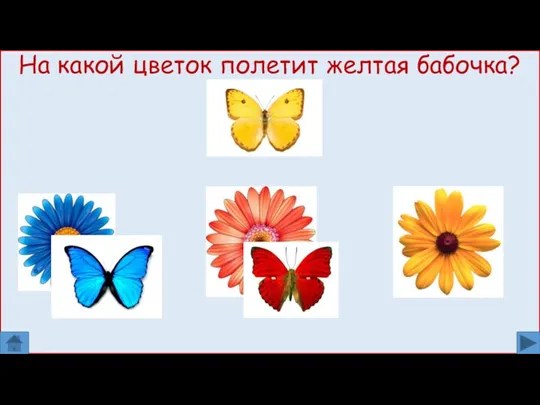 На какой цветок полетит желтая бабочка?