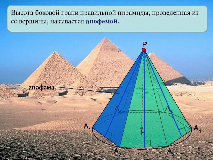 Высота боковой грани правильной пирамиды, проведенная из ее вершины, называется апофемой. А1 А2