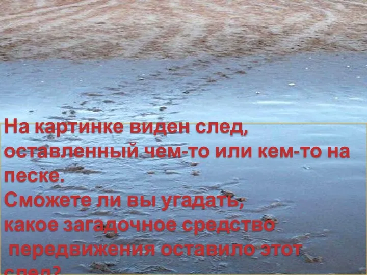 На картинке виден след, оставленный чем-то или кем-то на песке.