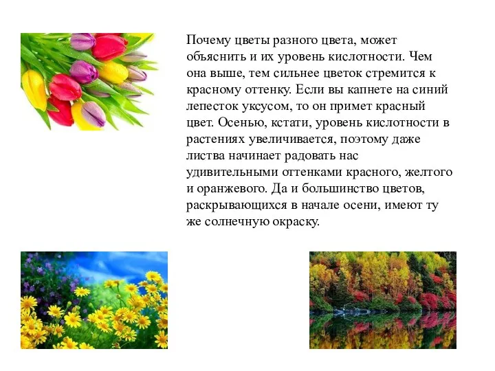 Почему цветы разного цвета, может объяснить и их уровень кислотности.