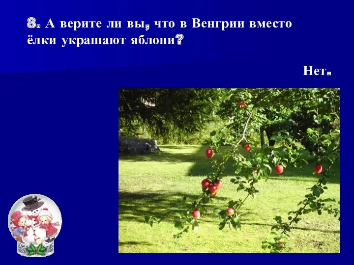 8. А верите ли вы, что в Венгрии вместо ёлки украшают яблони? Нет.