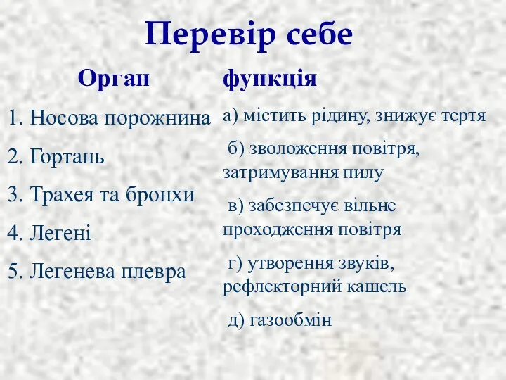 Орган 1. Носова порожнина 2. Гортань 3. Трахея та бронхи