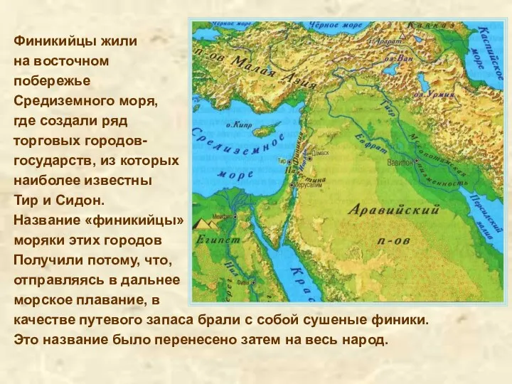 Финикийцы жили на восточном побережье Средиземного моря, где создали ряд торговых городов- государств,