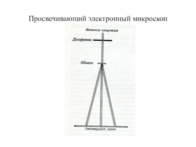 Просвечивающий электронный микроскоп