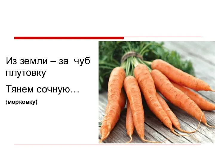 Из земли – за чуб плутовку Тянем сочную… (морковку)